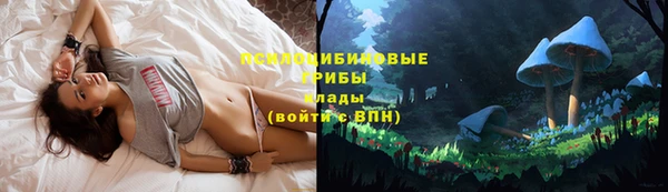 дживик Переславль-Залесский