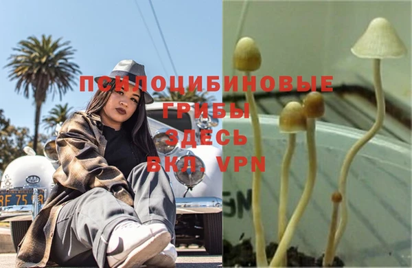 кокаин премиум Пересвет