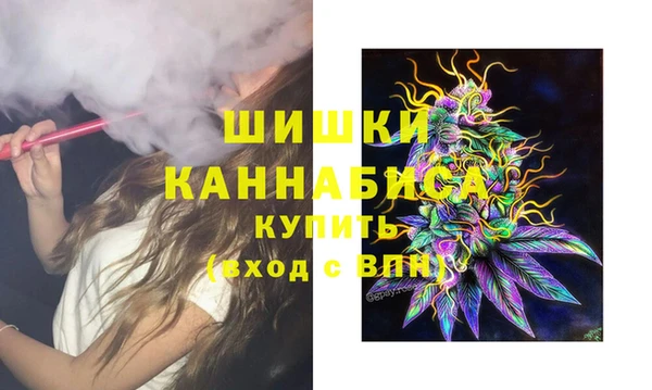 стаф Пестово
