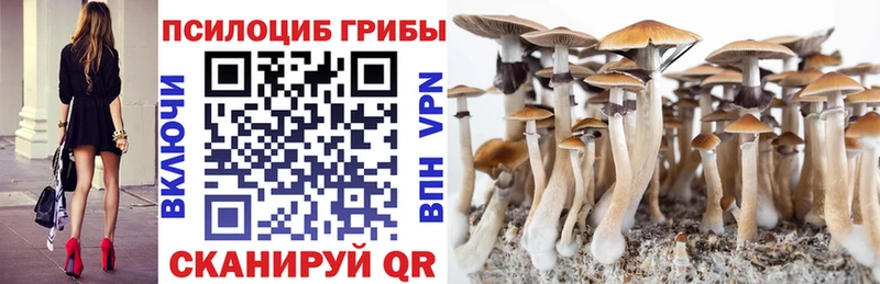 Галлюциногенные грибы мухоморы  MEGA сайт  Кизляр 